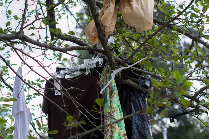 Clothes caught in a tree after a flood.